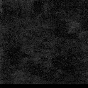 P 066114 paszpartukarton