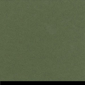 P 066460 paszpartukarton