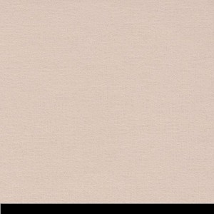 P 066780 paszpartukarton