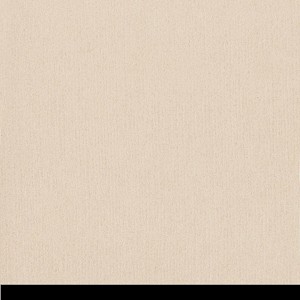 P 066781 paszpartukarton