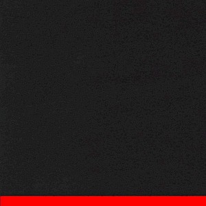 P 096413 paszpartukarton