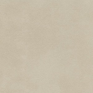 P 101 paszpartukarton