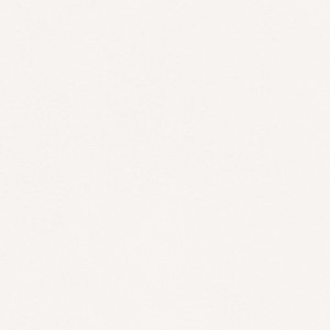 P 108 paszpartukarton