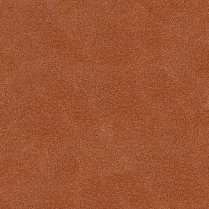 P 110 paszpartukarton