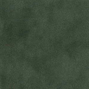 P 111 paszpartukarton