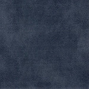 P 113 paszpartukarton