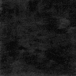 P 114 paszpartukarton