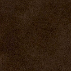 P 115 paszpartukarton