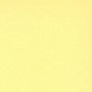 P 125 paszpartukarton