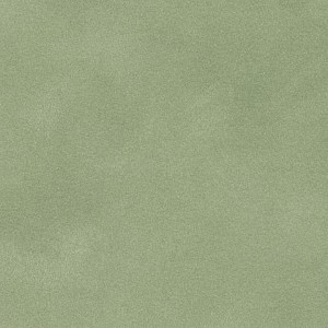 P 134 paszpartukarton