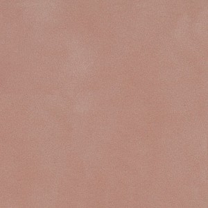 P 138 paszpartukarton