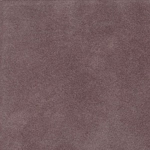 P 198 paszpartukarton