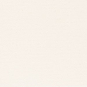 P 213 paszpartukarton