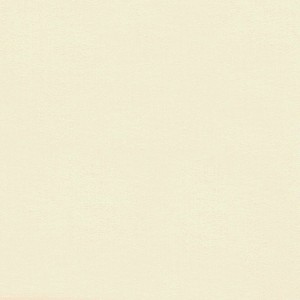 P 221 paszpartukarton