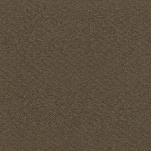 P 1501 paszpartukarton