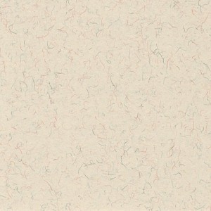 P 256 paszpartukarton