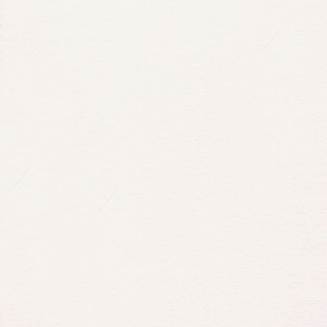 P 3/224 paszpartukarton