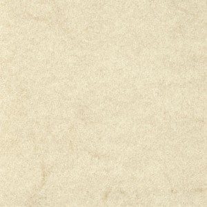 P 310 paszpartukarton