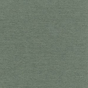 P 405 paszpartukarton