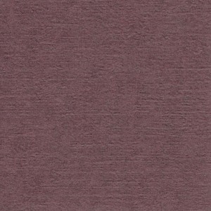 P 406 paszpartukarton