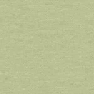 P 411 paszpartukarton