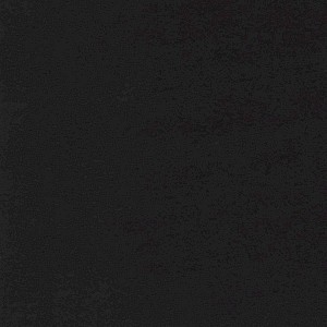 P 413 paszpartukarton