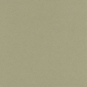 P 416 paszpartukarton