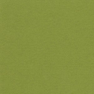 P 418 paszpartukarton