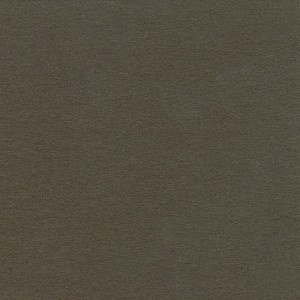 P 419 paszpartukarton