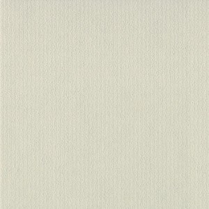 P 425 paszpartukarton