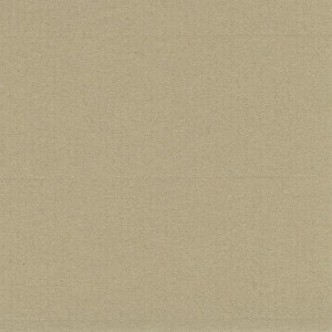 P 428 paszpartukarton