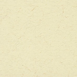 P 430 paszpartukarton