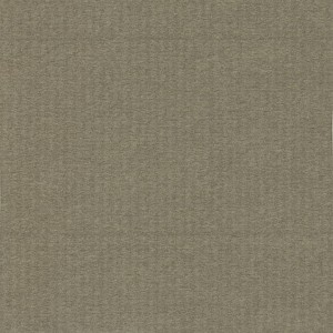 P 434 paszpartukarton