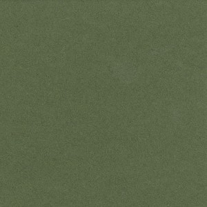 P 4460 paszpartukarton