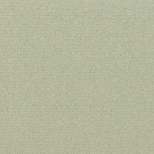 P 4489 paszpartukarton