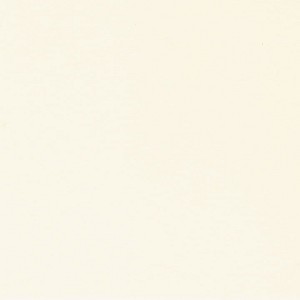 P 450 paszpartukarton