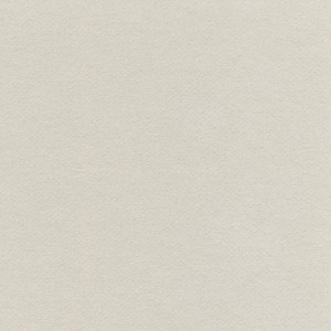 P 452 paszpartukarton