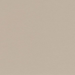 P 453 paszpartukarton