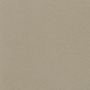 P 455 paszpartukarton