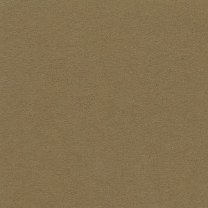 P 463 paszpartukarton