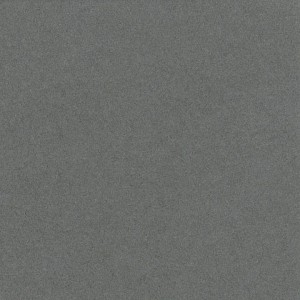 P 464 paszpartukarton