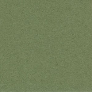 P 465 paszpartukarton