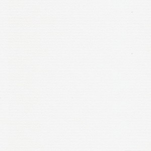 P 480 paszpartukarton