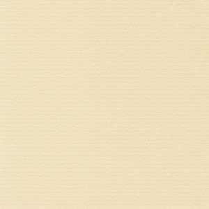 P 482 paszpartukarton