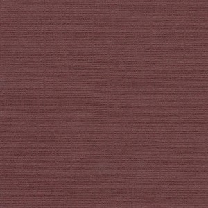 P 4835 paszpartukarton