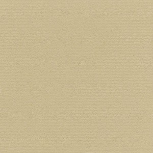 P 484 paszpartukarton