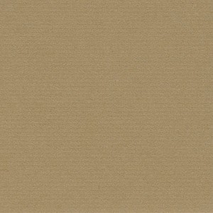 P 485 paszpartukarton