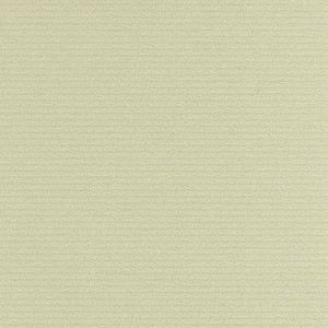 P 488 paszpartukarton