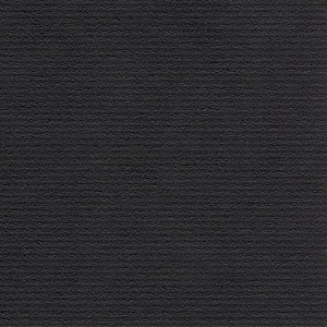 P 493 paszpartukarton