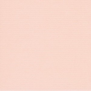 P 494 paszpartukarton